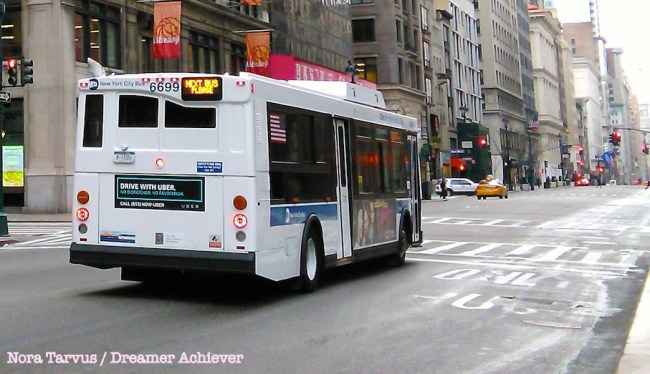 DreamerAchieverNYCbus