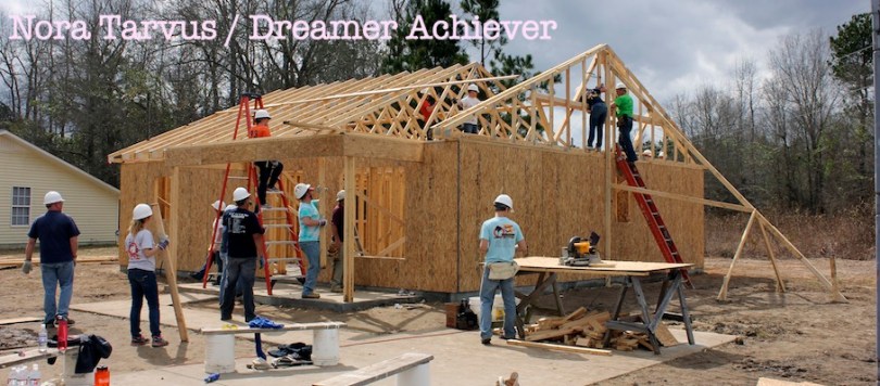 DreamerAchieverHabitatAfter