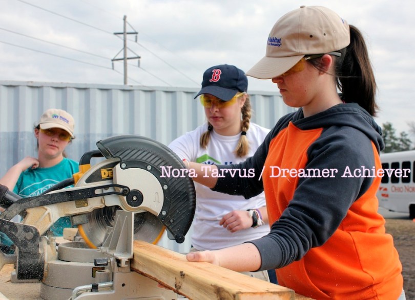 DreamerAchieverHabitatSawTeam