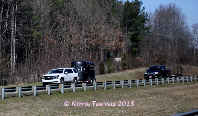 DreamerAchieverShootingCars8