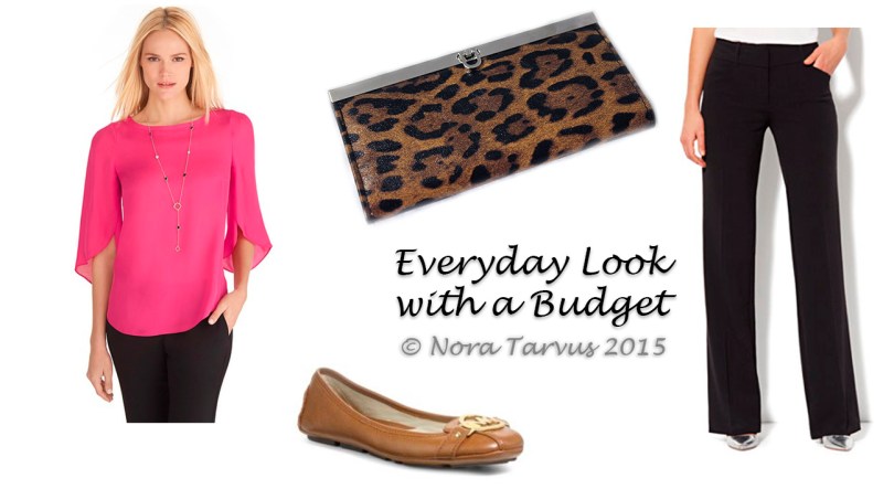 EverydayBudgetLook
