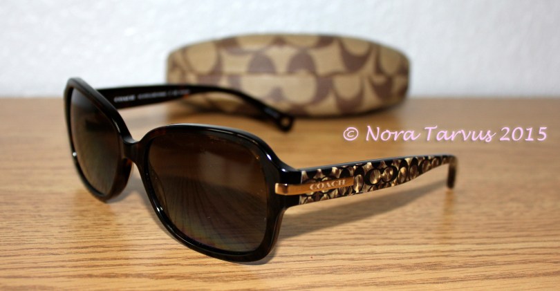 CoachSunglassesDetroitDreamerAchiever