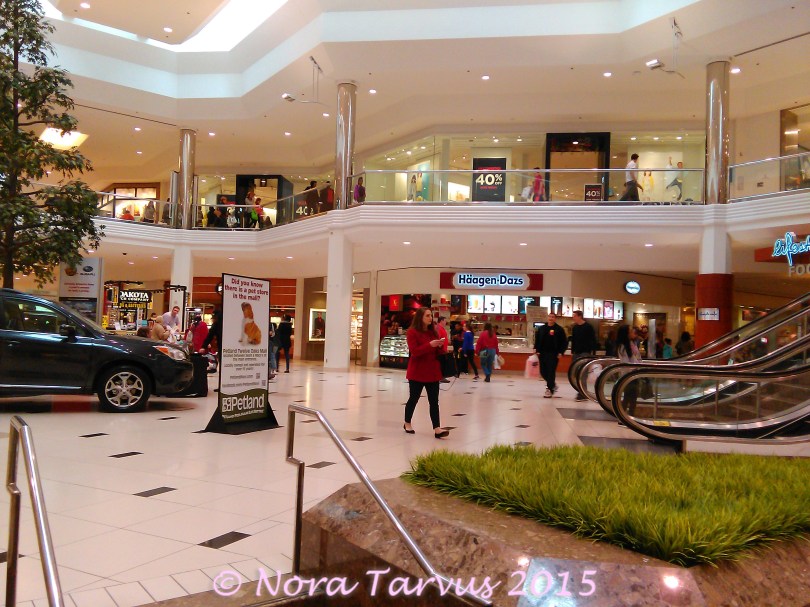 TwelveOaksMallDetroitMIDreamerAchiever