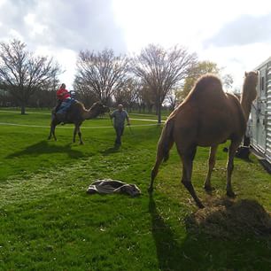 11137884_103504369981473_2130905185_n