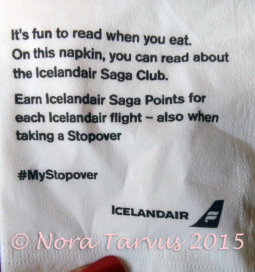 IcelandAirDreamerAchieverNapkin