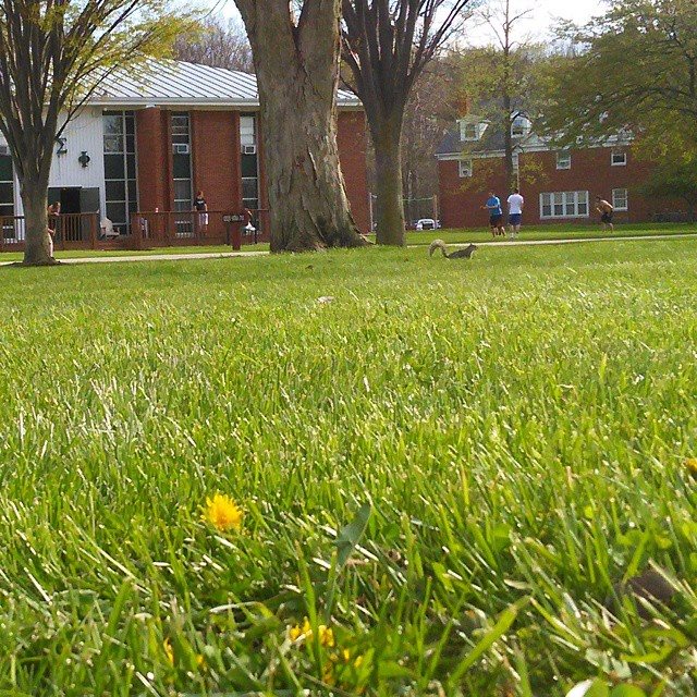 instagramdreamerachievernora.4.15e