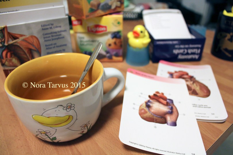 MedicalStudiesDreamerAchiever