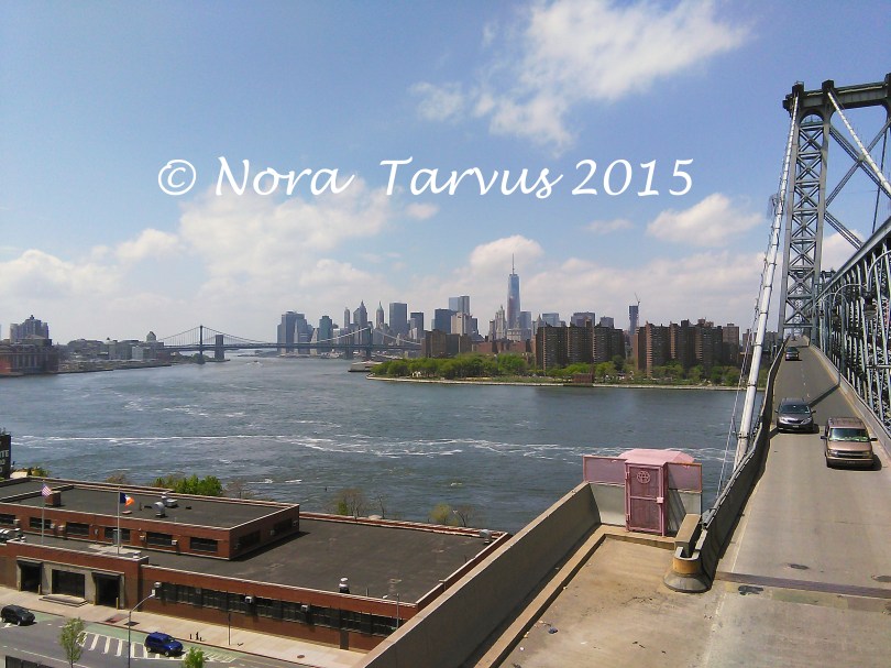 viewfromwilliamsburgbridgeNYCDreamerAchiever