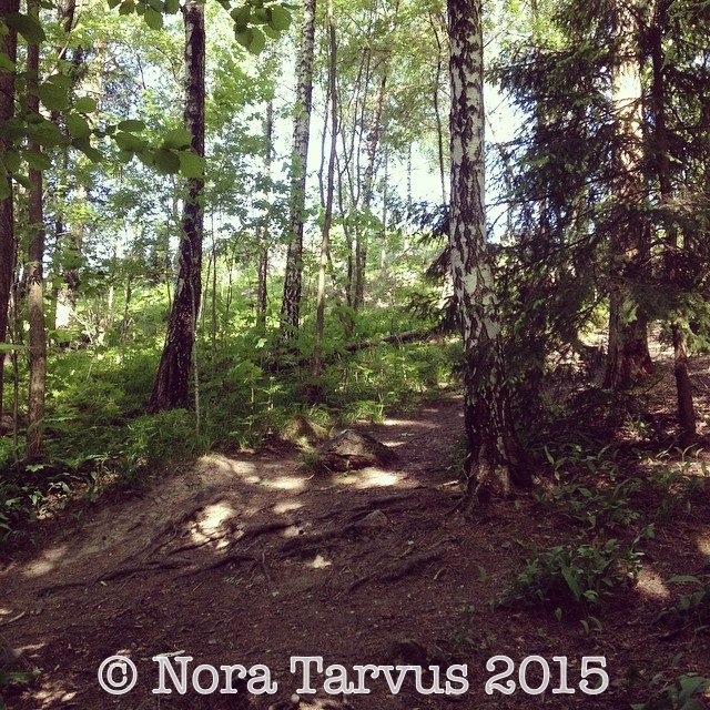 11412158_994931173859670_1744151188604177958_n