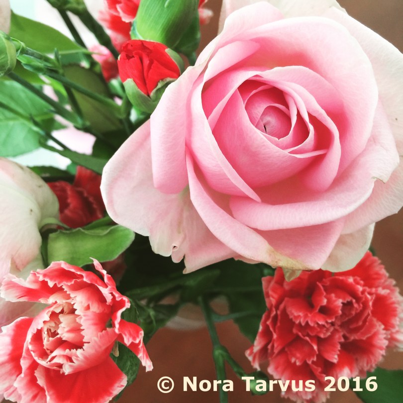 WineandCheeseTastingatHome069