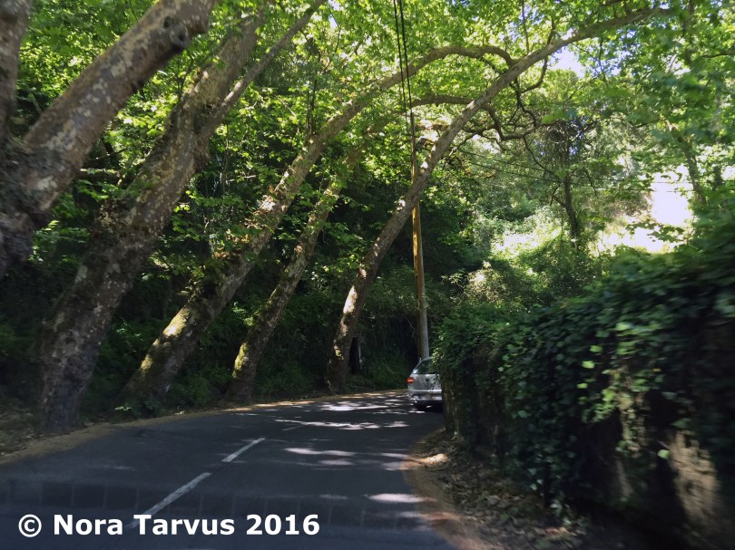 AmazingPortugalSintra3034 kopio