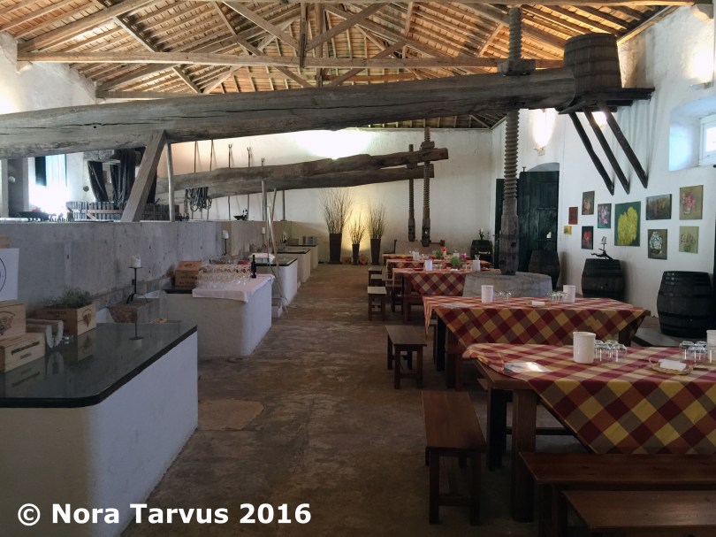 TravelingPortugalDay3Winery3237 kopio
