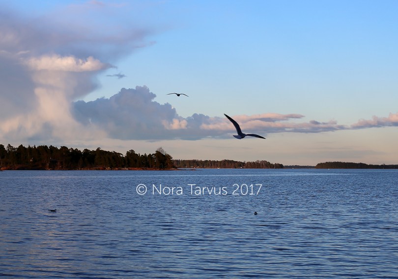 SpringinFinlandApril2572