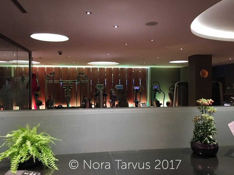 HotelRadinssonBluRigaLatviaReview745