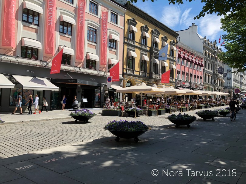 ShoppingStreetOslo