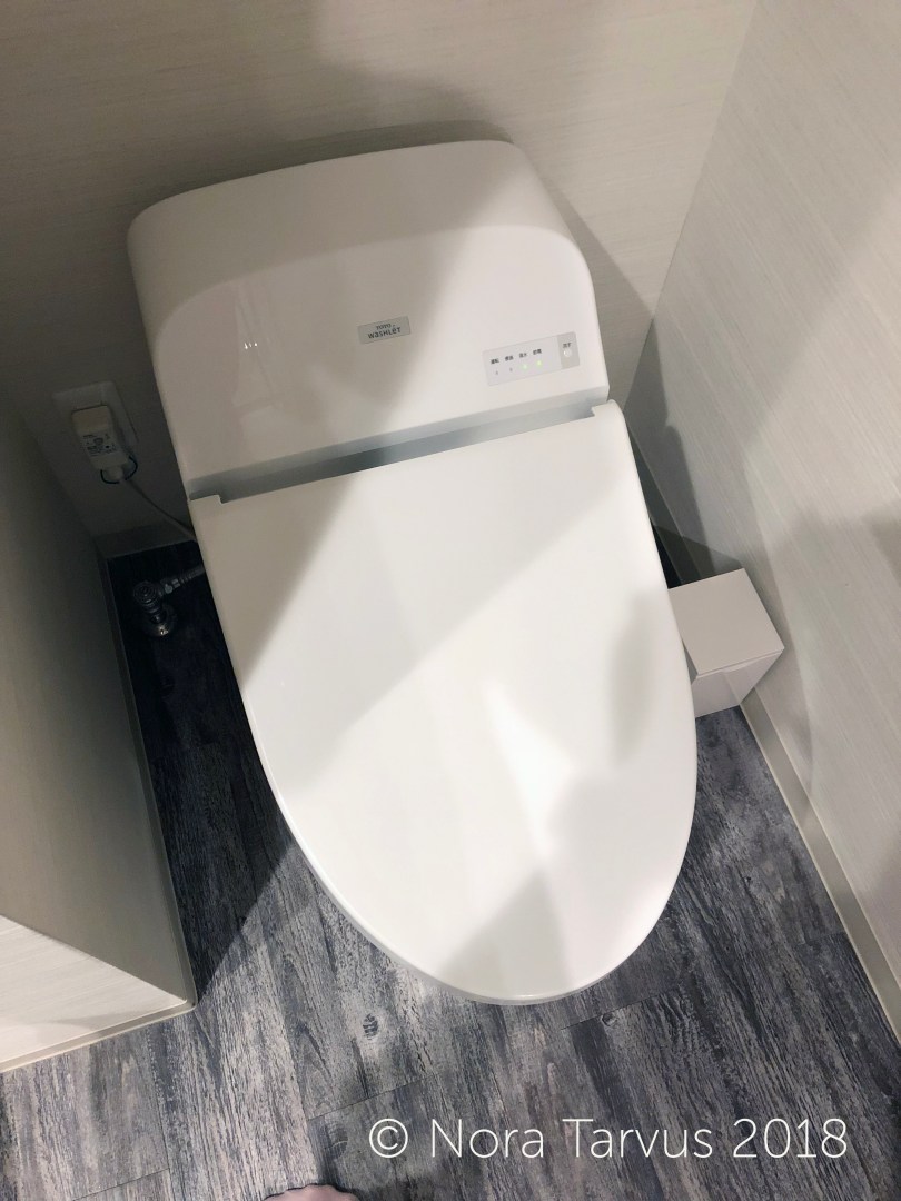 Daiwa Roynet Hotel Ginza Tokyo Japan Hotel Review5 Toilet
