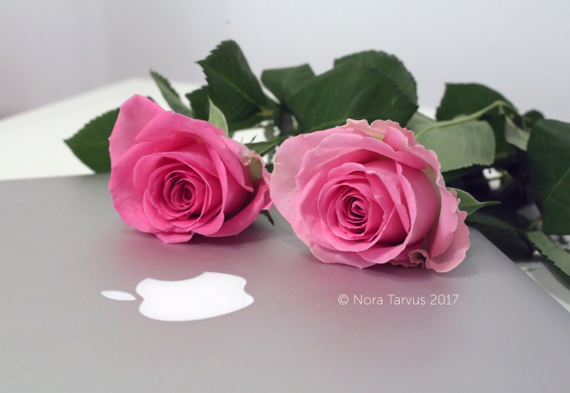 RosesandMac